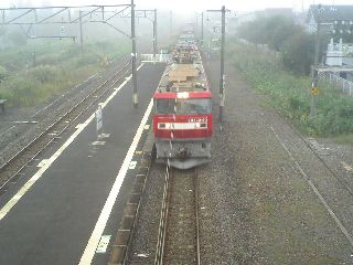PAP_1629.jpg