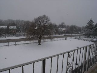 R0018004_2.jpg