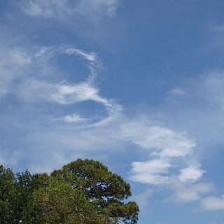 P5150407_2.jpg