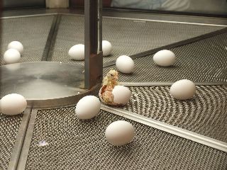P5240468_2.jpg