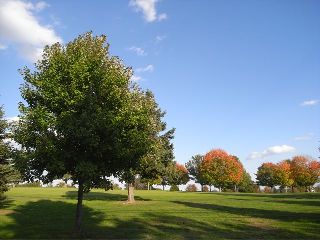 R7220232.jpg