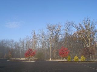 R7220284_3.jpg