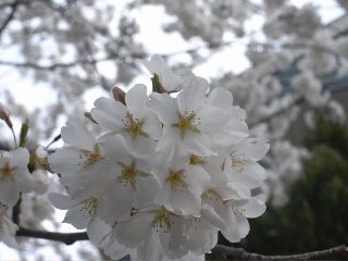 R7223141.jpg