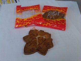 IMG00010-20110513-1459.jpg