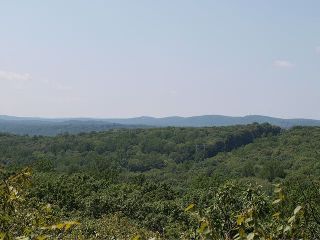 P8201446_2.jpg
