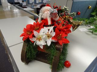 DSC00404.jpg